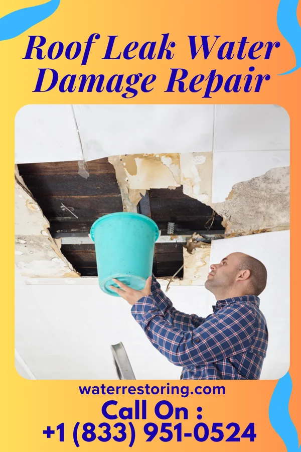 Roof Leak Water Damage Repair in Sanford, MI