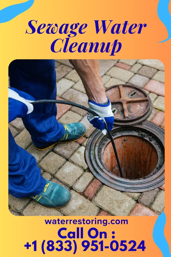 Sewage Water Cleanup in Sanford, MI